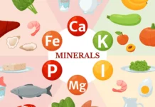 Minerals And The Body Minerals And The Body
