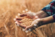 Importance of Macronutrients in Nutrition Importance of Macronutrients in Nutrition